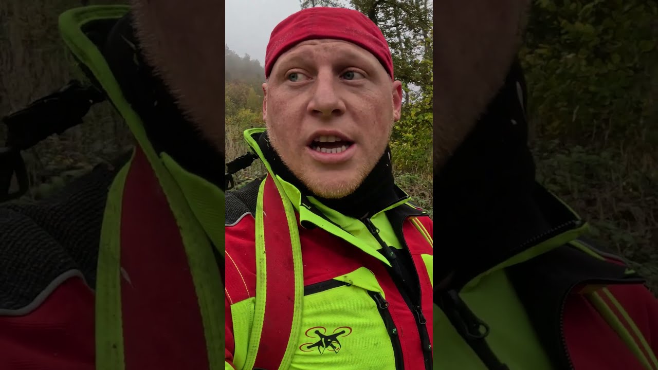 STARKE Rotte lässt Brombeeren beben - YouTube