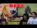 The most savage generational rivalries in the animal kingdom  casual geographic reaction