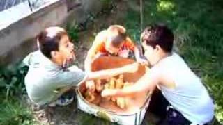 Alaplı Efecan Kuzenler ve Ördekler devam