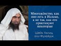 Многожёнство, как оно есть в Исламе, а не так, как его практикуют некоторые | Шейх Халид аль-Фулейдж