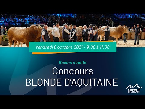 Sommet de l'élevage 2021 - Concours BLONDE D’AQUITAINE - 08/10/2021