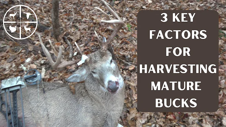 How to Determine the Best Times to Go Hunting (Tim...