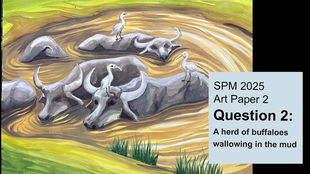 2025 SPM PSV Question 2_A herd of buffaloes wallowing in the mud
