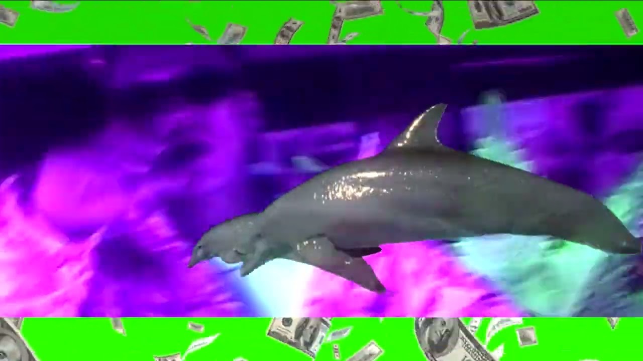 Ryugo Ishida "Dolphin" (Official Music Video) auf YouTube ansehen Ryugo Ishida "Dolphin" (Official Music Video) auf YouTube ansehen