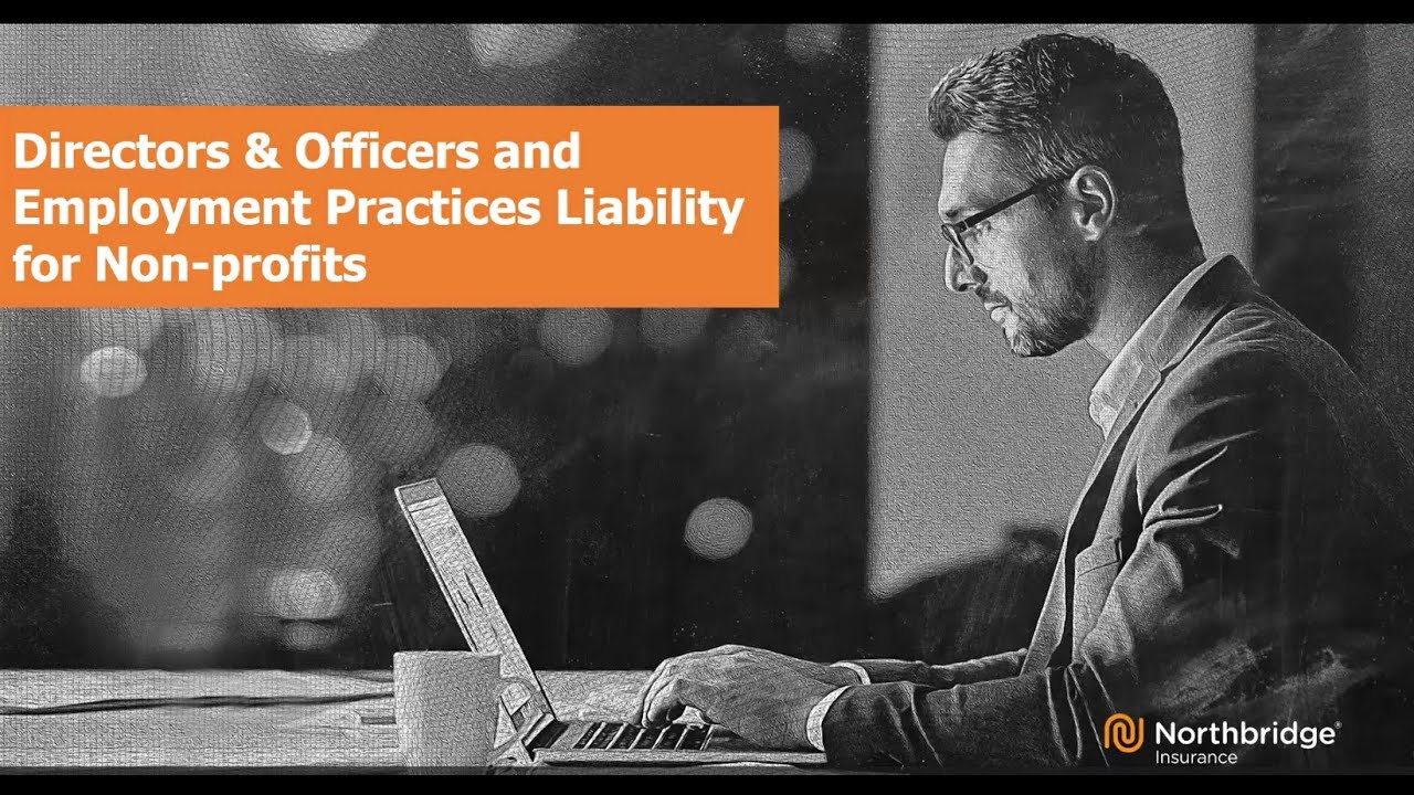 Director & Officers and Employment Practices Liability for Non profits