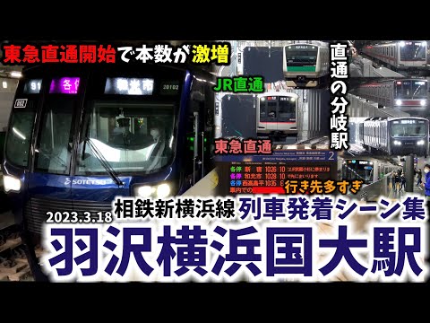 【東急とJR 直通の分岐駅】羽沢横浜国大駅列車発着シーン集[相鉄新横浜線,相鉄東急直通線,相鉄JR直通線,相鉄]（2023.3.18）