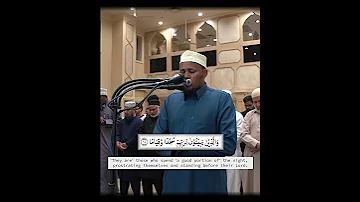 مسجد عمر سورة الفرقان القارئ عبد القادر جوتالي 