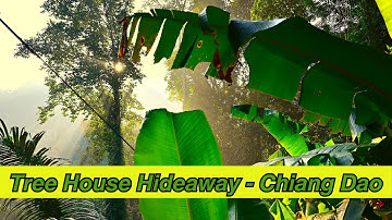 TREE HOUSE HIDEAWAY - CHIANG DAO