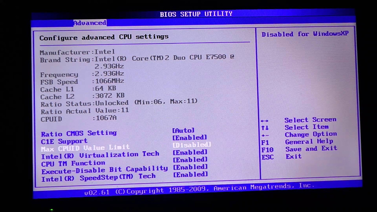 Update B.I.O.S. Раздел Advanced. Обзор пункта CPU Configuration.
