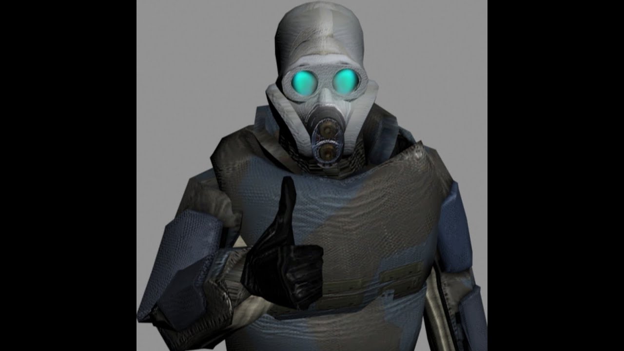 Half life skin