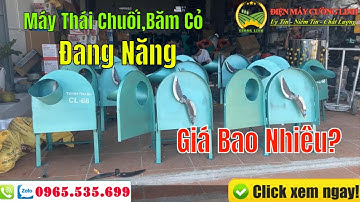Máy Thái Chuối ,Băm Cỏ Đang Năng Cải Tiến Mới Nhất Giá Bao Nhiêu?