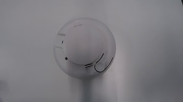 ESL SENSITIVITY TEST