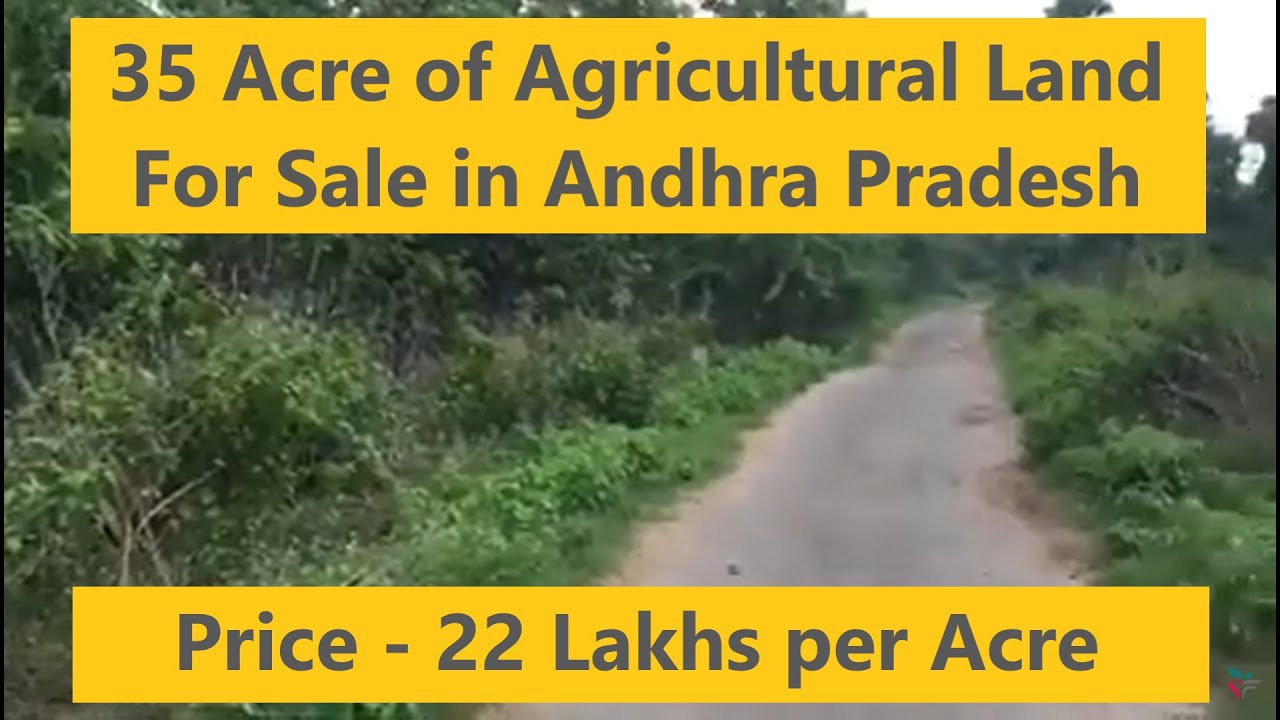 Andhra Pradesh 35 Acre of Agricultural Land For Sale Located At