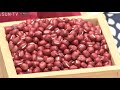 丹波市の名産 大納言小豆の収穫ピーク