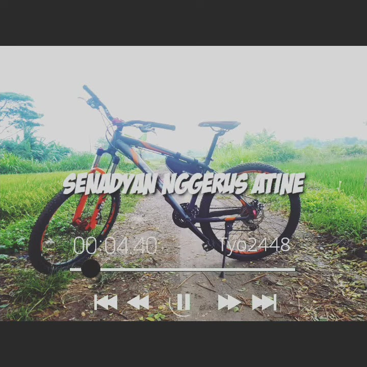 STORY WA 30 DETIK