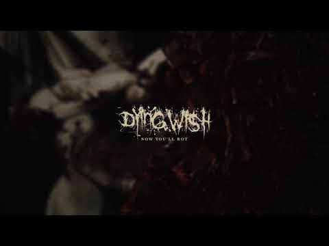 Dying Wish - Now You'll Rot (Official Audio Stream)