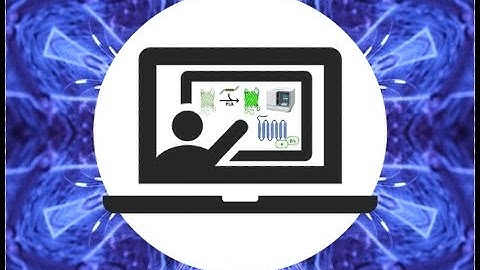 Proximity Ligation Assay