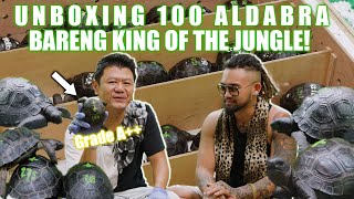 UNBOXING 100 ALDABRA SEMUA GRADE WITH AUDREY KING OF THE JUNGLE❗