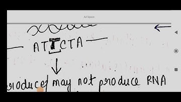 Genotype and phenotype || How does a gene governs the phenotypic charachter? #pgt #msc #bsc