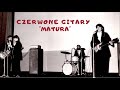 Czerwone Gitary - Matura [Official Audio]
