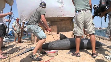 KON TIKI | Making-Off | "Haifang"