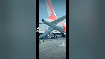 @trivietcargo.us, nhận kéo Container tại TP HCM,   nhận gửi hàng đường biển,  đường hàng không