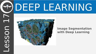 Dragonfly Daily 17 Image segmentation with Deep Learning in Dragonfly (2020)