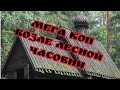 Мега коп возле лесной часовни