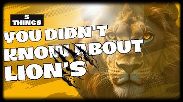 5 Things You Didn