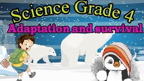 Concept 1 1 Adaptation and survival  lesson 1 الدرس الاول المفهوم الاول الصف الرابع الابتدائي لغات