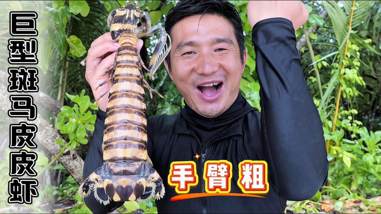 《所罗门群岛》第5集：2天1夜荒岛探索，首次抓获巨型斑马皮皮虾，和会喷水的射水鱼！#皮皮虾 #射水鱼 #抓龙虾 #荒岛探索 #红树林 #抓螃蟹 #赶海 #潜水 #fishing #ocean