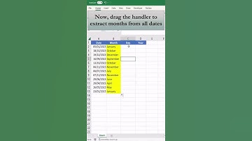 How To Extract Day, Month, and Year in Excel