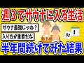 【有益】週3でサウナ行く生活・半年続けてみた結果【2chスレ風まとめ】
