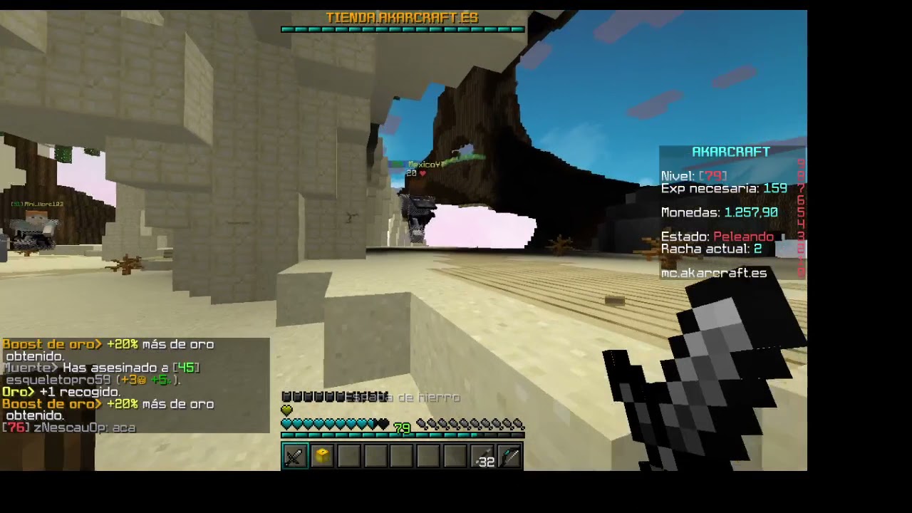 Report (mc.Akarcraft.es)