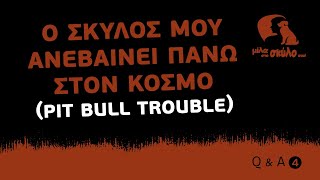 Q&A #4 - Ο σκύλος μου ανεβαίνει πάνω στον κόσμο (pit bull trouble) - ΜΙΛΑ ΣΤΟ ΣΚΥΛΟ ΣΟΥ by Μίλα στο Σκύλο σου by Ilias Raymondis 3,846 views 4 years ago 10 minutes, 13 seconds