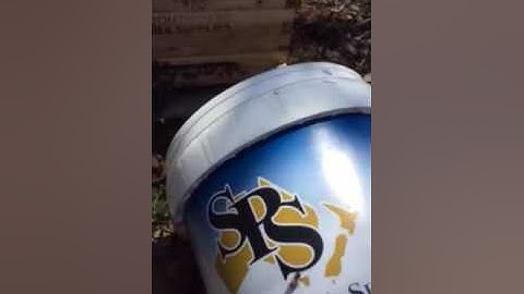 Bees moving into their new home