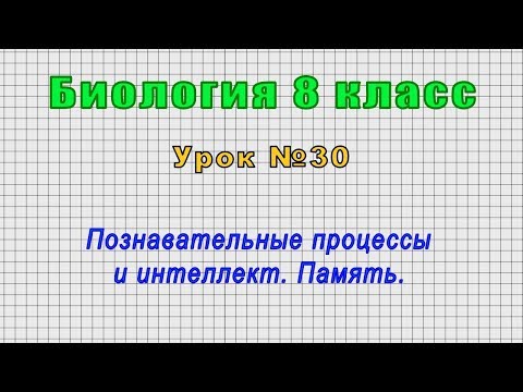 Видео: Что такое познание и память?