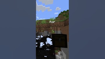 Minecraft Tip For Hiding Valuables!  #minecraft