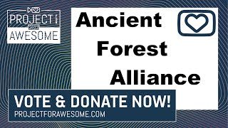Ancient Forest Alliance - Project for Awesome 2022