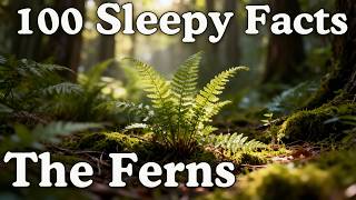 The Most Relaxing Facts About Ferns to Fall Asleep To