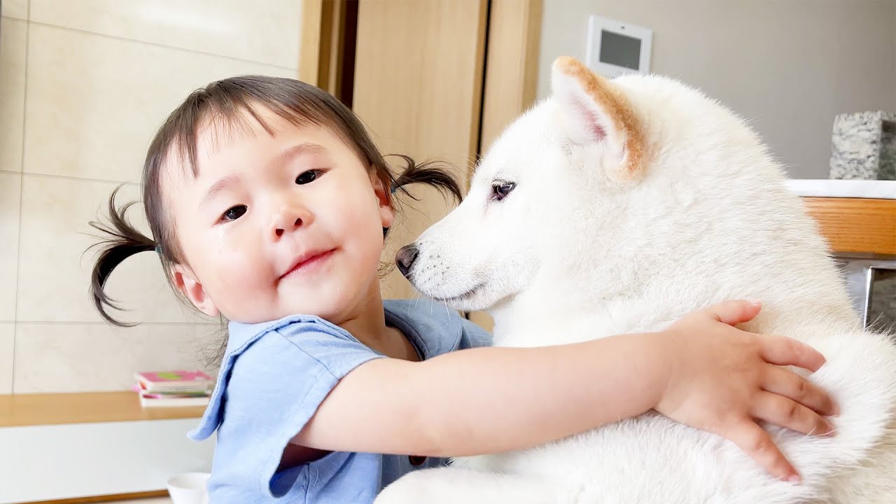 우는 아기 달래주는 강아지 ㅠㅠ (아기와 강아지랑 같이 키우면 좋은 이유!)