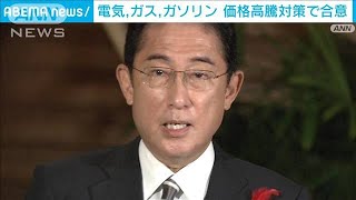 電気、ガス、ガソリン 価格高騰対策で自公が合意(2022年10月14日)