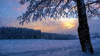 Snowfall Serenity - Copyright-Free Winter Wonderland Footage | Free Download BDB Videos