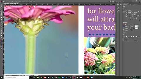 IN CC 2020 CIAB CH 1 Introducing the Workspace Danielle Oser Source