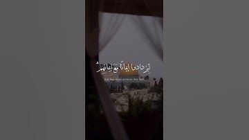 سورة الفتح - عبدالرحمن مسعد