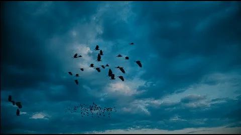 Rest Your Sorrow, Movement 1