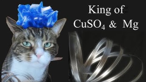 Magnesium + Copper (II) Sulfate: Lots going on here!