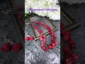 Украшение из коралла