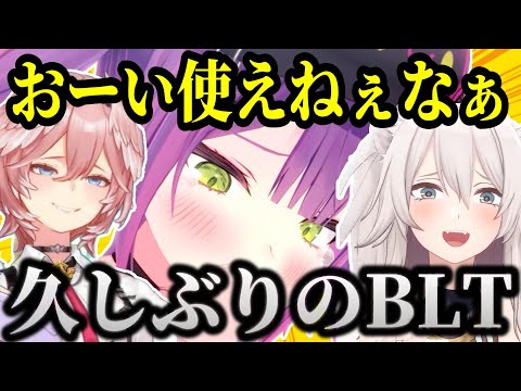 久しぶりのBLTコラボでテンションがおかしくなるトワ様【ホロライブ切り抜き/常闇トワ/獅白ぼたん/鷹嶺ルイ】#CUTOWA