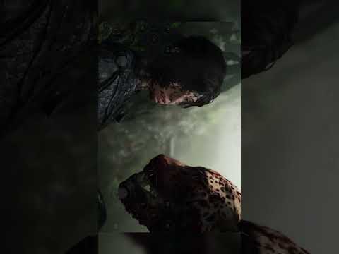 لارا كرفت تواجه نمر شرس Shorts 